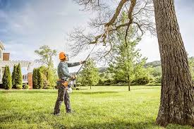 Best Tree Risk Assessment  in Milton, WV