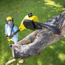 Best Tree and Shrub Care  in Milton, WV